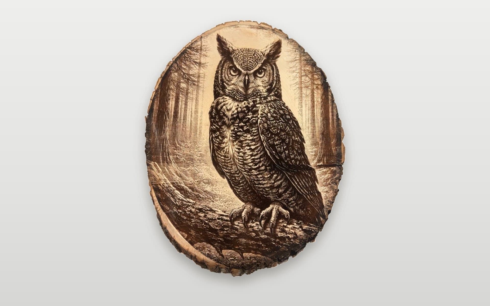 Great horned owl wood slice, image 1